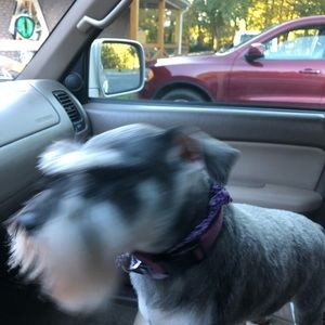 Meet your Posher, Jordan